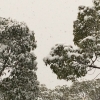 昨日は今年初めての雪になりましたね。
