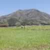 先日、家族で祖母の家に遊びに行きました。
天気も良くて、のんびりした田舎の風景に癒されながら、半日過ごしました(*^-^*)

新学期が始まってから、ずっとバタバタしていたので、久々にゆっくり出来た気がします( ´∀`)