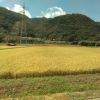 先日、久しぶりに家族全員フリーの日があったので、長門に出かけて来ました♪

私は山口県民でありながら、実はこれまで長門には殆ど行ったことがなかったので、ちょっと新鮮な気分でした(*´∀`)