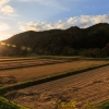 今年も稲刈りの時期がやってきました。

私の実家も田んぼを持っており、家族が集まって稲刈りをするのが小さい頃からの恒例行事になっていました。

しかし、そんな恒例行事も色々な事情により去年で最後となってしまいました。

とても大変な肉体労働ですが20年以上毎年の恒例行事としてやってきていたので、いざ無くなってみるとさみしく感じます。