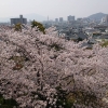 「地鎮祭in春爛漫」の画像です。