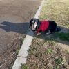 「公園散歩」の画像です。