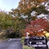 暑かった夏の面影はもうすっかりなく、あたりはしだいに紅葉に染まっていく。。。


ちょっとここらで一息つきましょう。。。