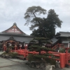 「紅葉を見に」の画像です。