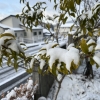 「お家づくりについて【地鎮祭】」の画像です。