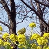 「一早く…✨」の画像です。