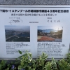 「トルコチューリップ」の画像です。