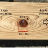 「「古の知恵」  「逆木」とは?」の画像です。