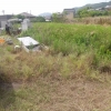 日差しが強くなり

新芽も伸びてきたので

本日は社員大工さん2人と一緒に

駐車場の草刈り作業をしました。