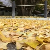 「お出かけ」の画像です。