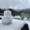 今朝はとても寒かったですね。

明日はなんと今日よりもさらに寒くなるそうです。

本格的な冬備えが必要です。

中国地方の山間部ではすでに積雪しているようで、県内でも10㎝近く積もっているところもあるようです。朝晩は路面の凍結に注意が必要です。