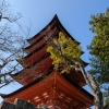 ここはどこかお分かりでしょうか?

ふとした時に不意に行きたくなる場所の宮島✨️