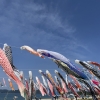 「虹ケ浜」の画像です。