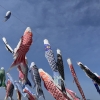 「虹ケ浜」の画像です。