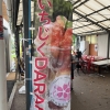 「sakura_michi」の画像です。