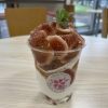 「sakura_michi」の画像です。