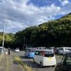 「普賢まつり」の画像です。