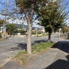 前面道路②